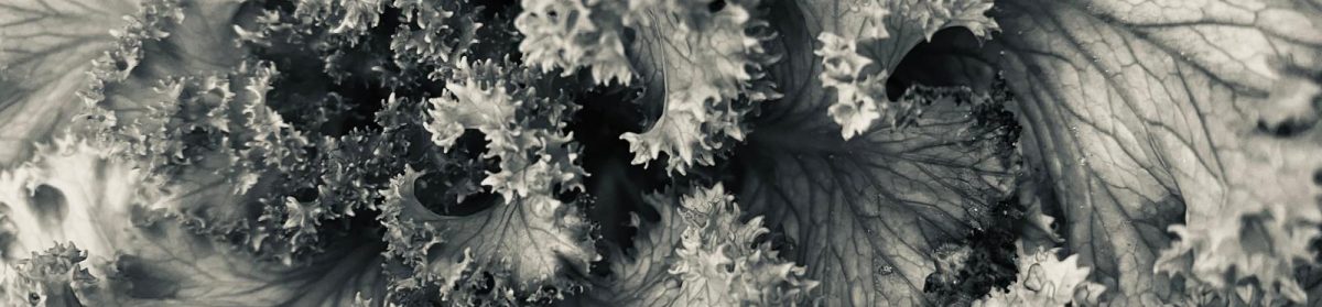 Psicologia I Psicoterapia Online